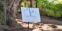 Crédits photos : Morgane Bel