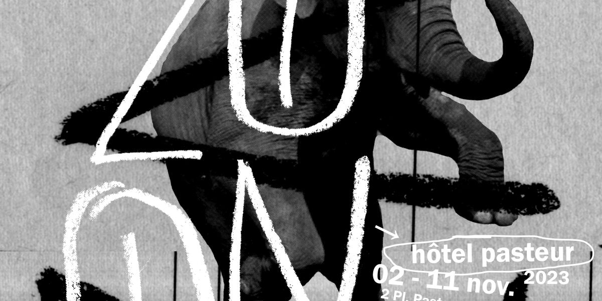 Plateau santé mentale états du monde #2 : ZOOFOLIES- Un esprit chien dans un corps chien